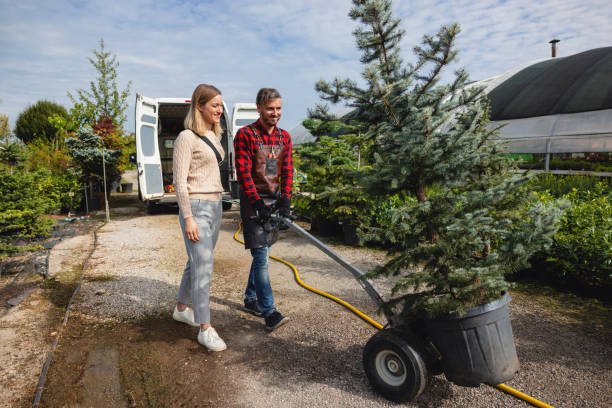 Best Lawn Renovation and Restoration  in Lake Riverside, CA